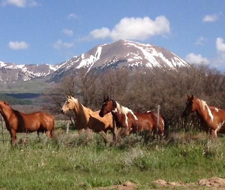 Mount Peale Country Inn La Sal Luaran gambar