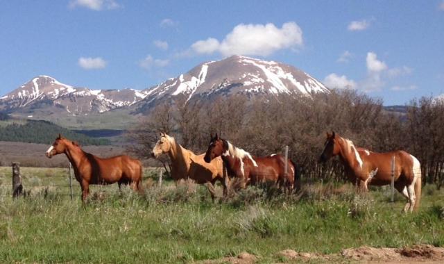 Mount Peale Country Inn La Sal Luaran gambar